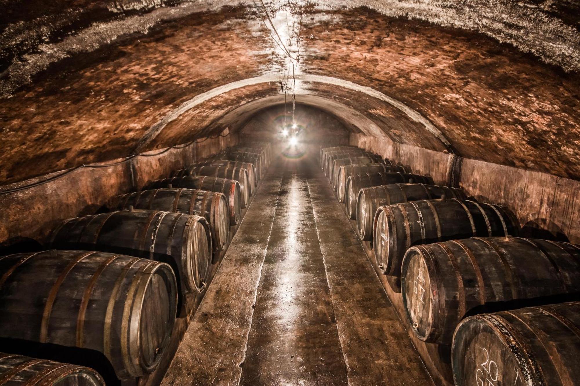 Weingut Dr Wagner Villa Saarburg Buitenkant foto