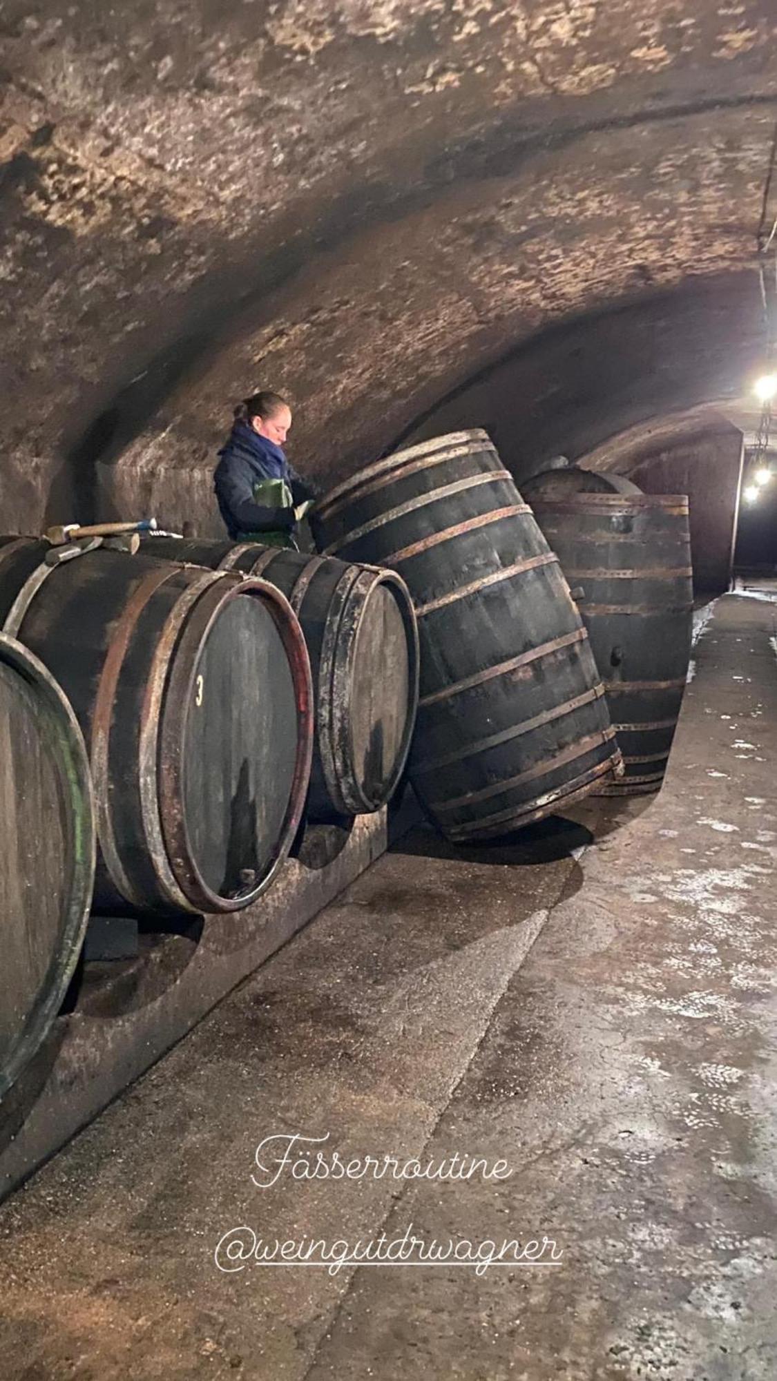 Weingut Dr Wagner Villa Saarburg Buitenkant foto
