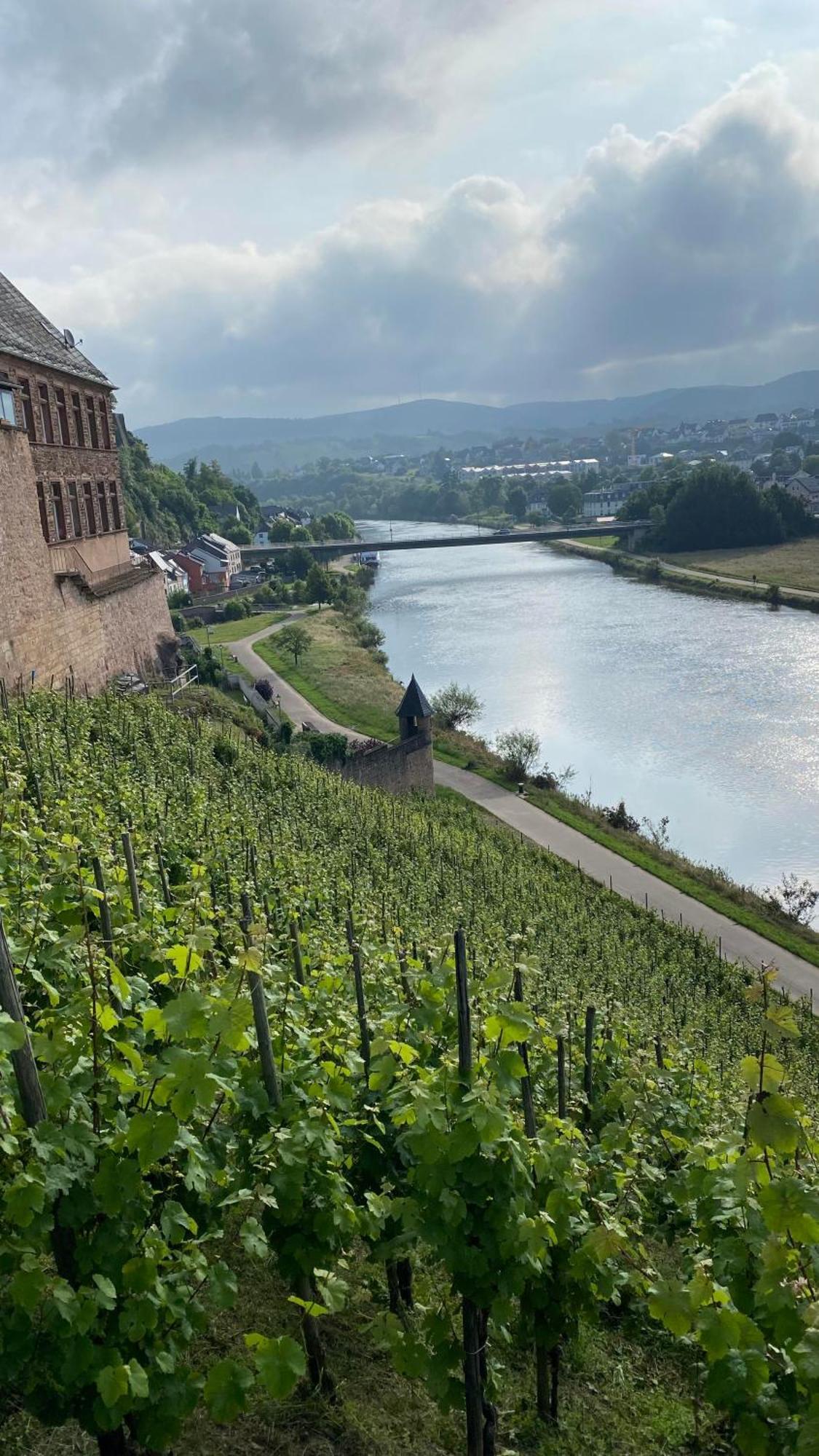 Weingut Dr Wagner Villa Saarburg Buitenkant foto